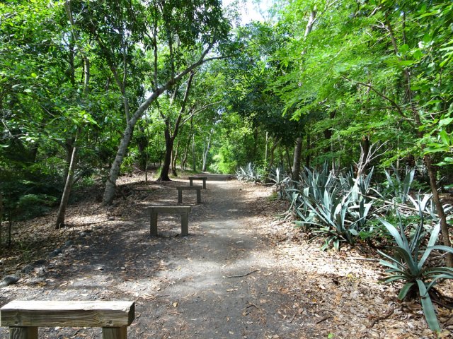 Marcher à plat sur le parcours sportif est un vrai plaisir