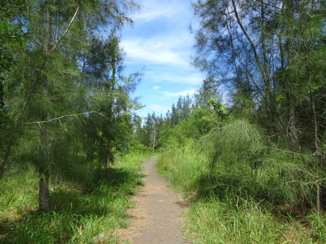La fin est aisée sous les filaos avant de rejoindre les prairies