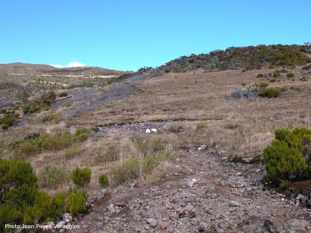 En voyant les grandes plaques, on comprend pourquoi la végétation ne pousse pas ici