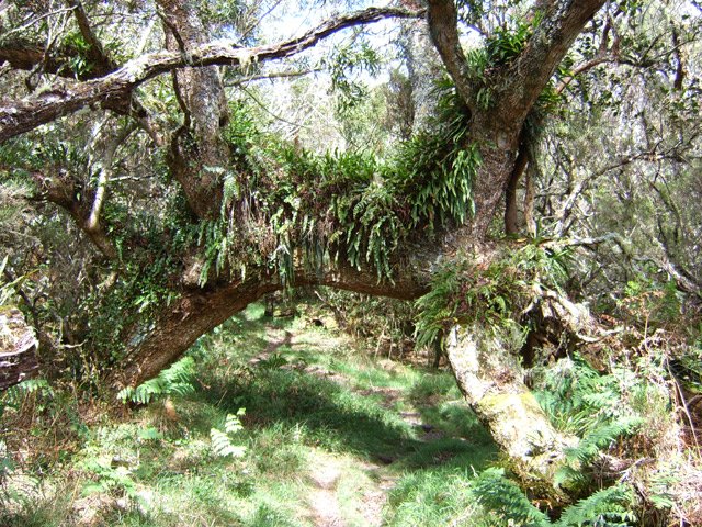 La nature originale par endroits fait oublier l'effort