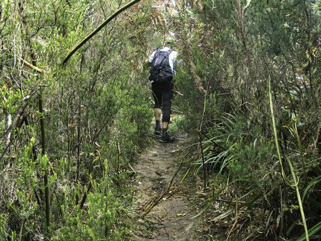 Passage un peu étroit dans les branles verts