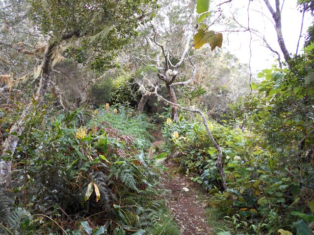 Des semblants de trouées vers Mafate