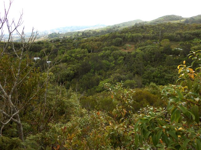 On arrive bientôt à la Route de la Possession