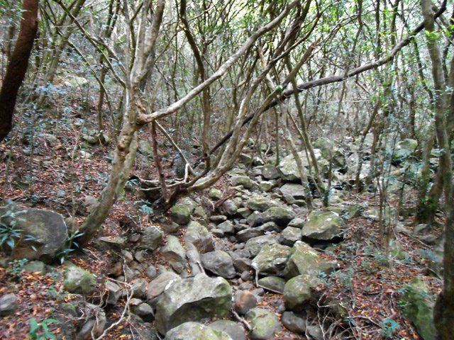 Une partie pierreuse sous les jamrosats