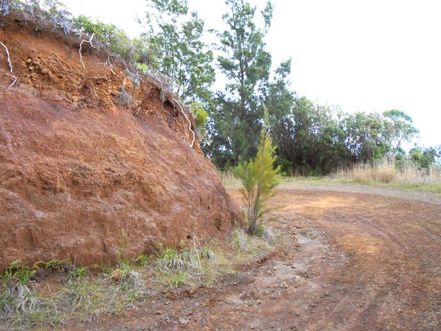 Piste agréable sans difficulté