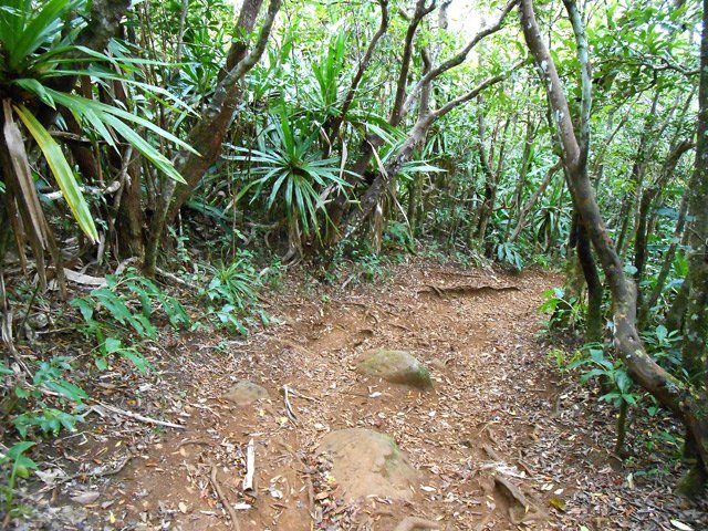 Parties agréables mais glissantes par temps de pluie