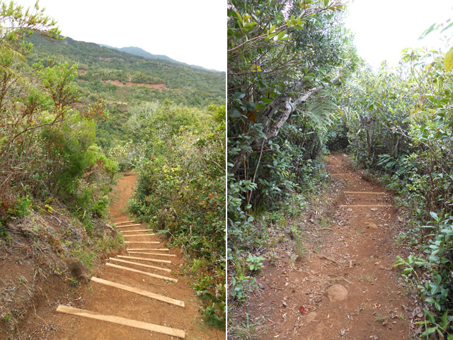 Vers la fin, le sentier est très bien réhabilité avec belles marches de bois