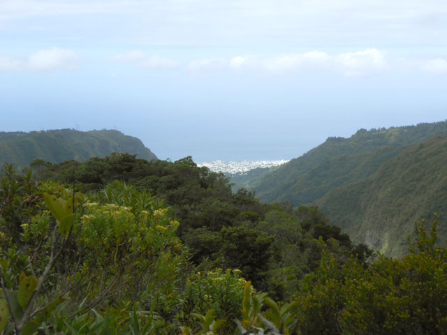 Quelques panoramas possibles vers le Chef lieu, mais rares