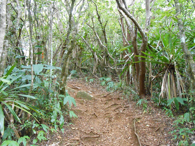 Le sentier le long du rempart traverse de beaux bois de couleurs
