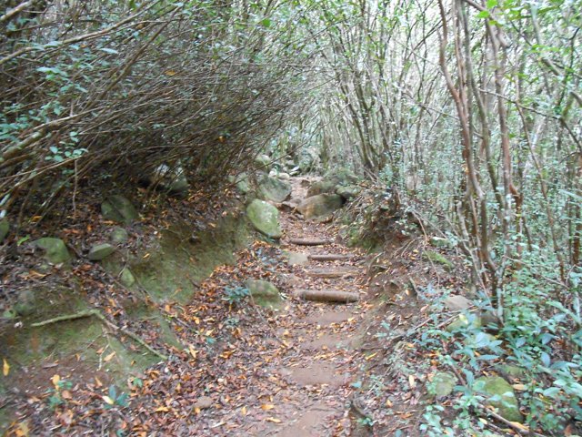 Quelques marches en bois et pierres