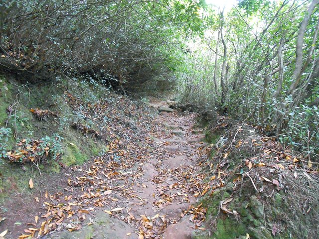 Large sentier un peu glissants par endroits