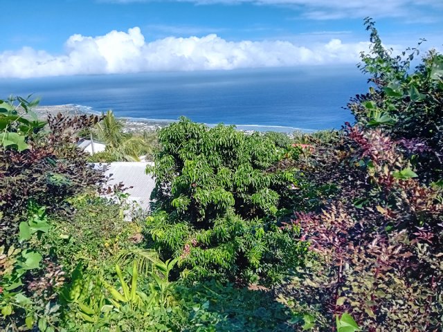 De plus en plus de points de vue sur Saint-Leu et le lagon