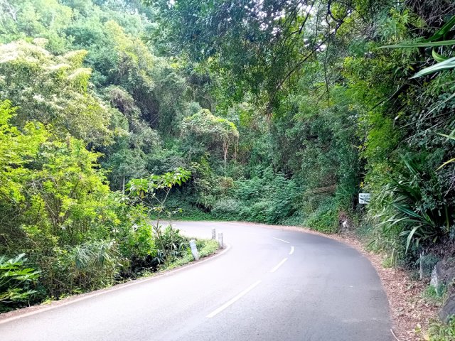 Agréable tronçon de la D13 traversant la Ravine Pêche