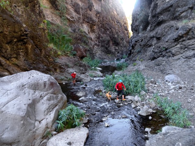 La longue remontée du Bras de Saint-Paul peut débuter