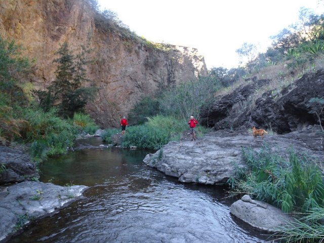 Remontée ombragée sur de larges plaques de basalte