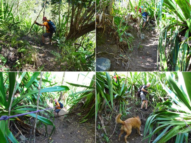 Bien se maintenir aux cordes pour descendre vers le Bras de Cilaos