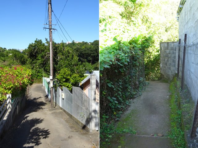 Promenade entre les jardins fleuris de la rue Julius Hoareau