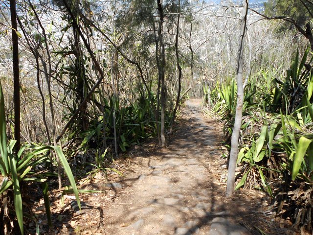 Et des chocas partout comme beaucoup de régions sèches