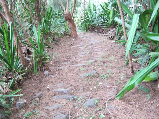 Une belle portion de sentier pavé