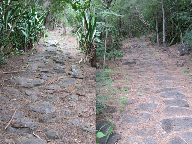 Deux autres, aussi propres que les précédentes