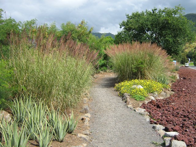 Une autre portion de ce sentier entre route et rivière