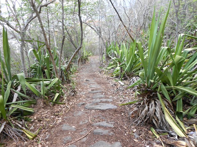 Une partie pavée bordée de chocas