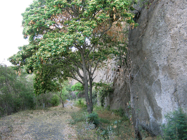 Entre falaise et canal