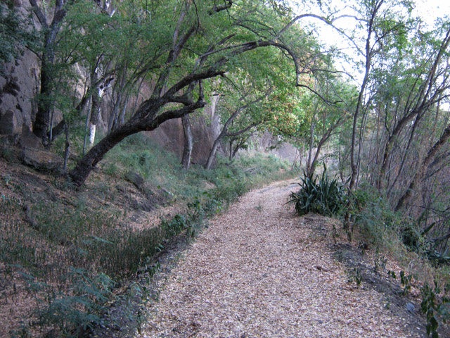 Une autre portion du sentier près des falaises