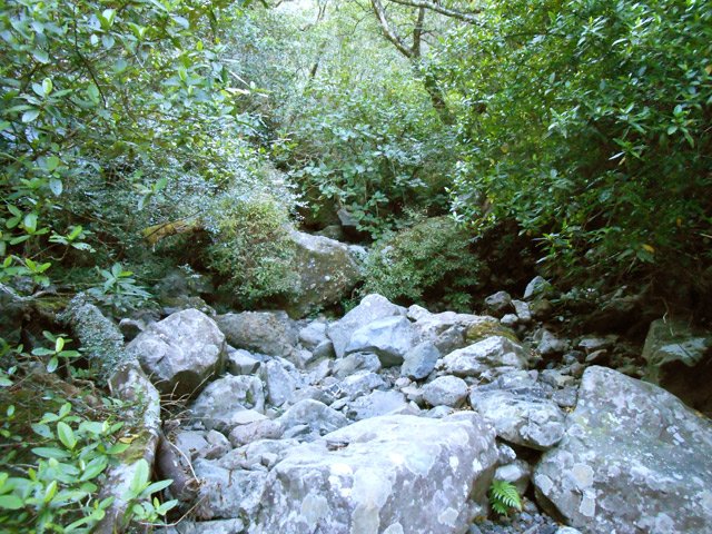 Le fond de la rivière ne comporte pas encore d'importants obstacles
