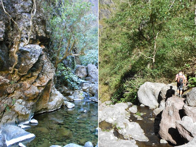 Petits coins pour amateurs de nature sauvage