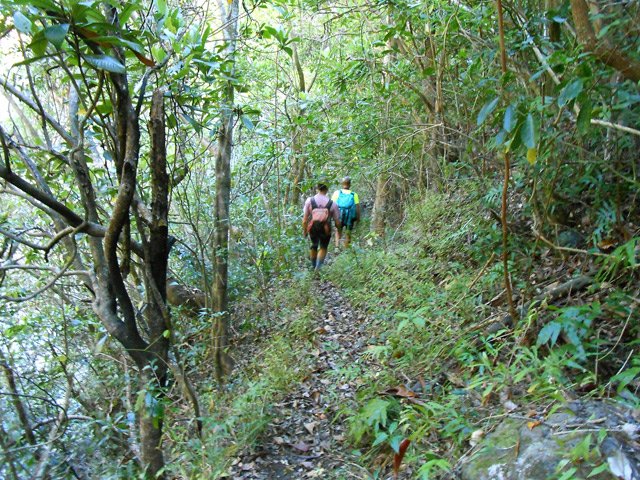 Le sentier reste encore visible et facile à suivre