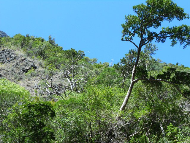 Une idée du paysage qui entoure la vallée étroite