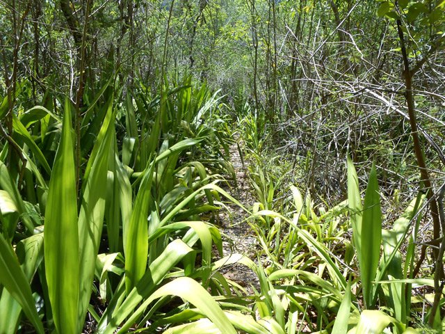 Des kilomètres de chocas jusqu'au barrage