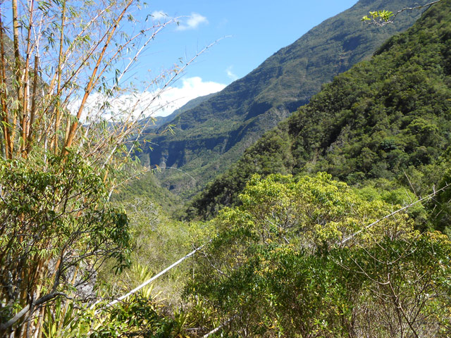 Bambous, jamblons ou manguiers indiquent que la zone fut sans un jour doute habitée