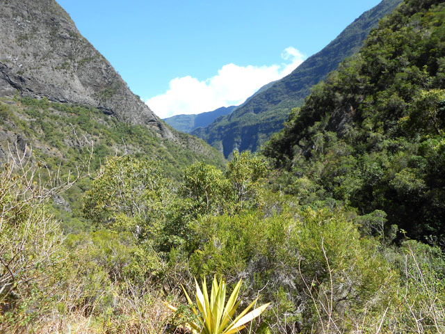 Une idée de la végétation tout le long de la vallée
