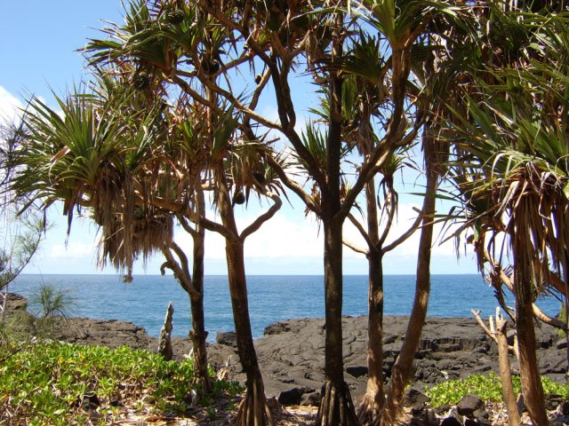 On marche toujours assez proche des vagues
