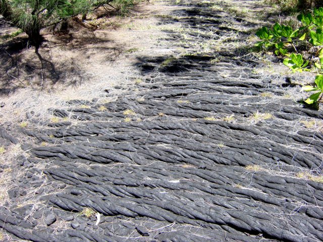 Ces belles laves cordées ne sont pas couvertes d'aiguilles