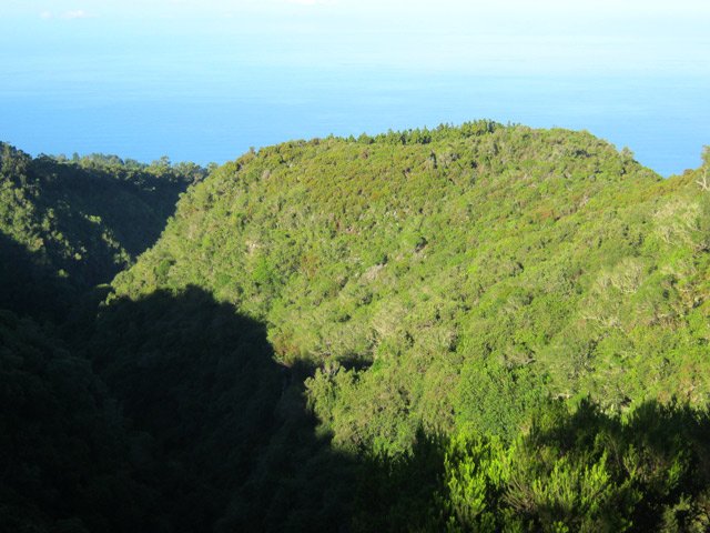 Le Bras de Jeanne coule dans l'ombre, au fond de la vallée