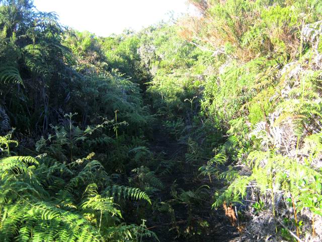 Une autre idée du sentier