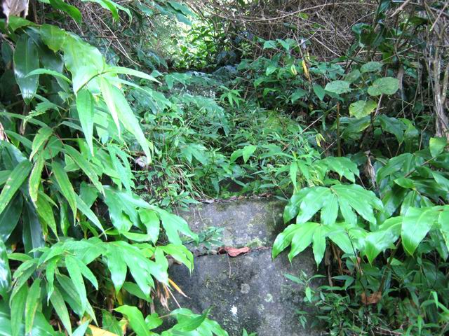 Un des escaliers perdus dans les longoses