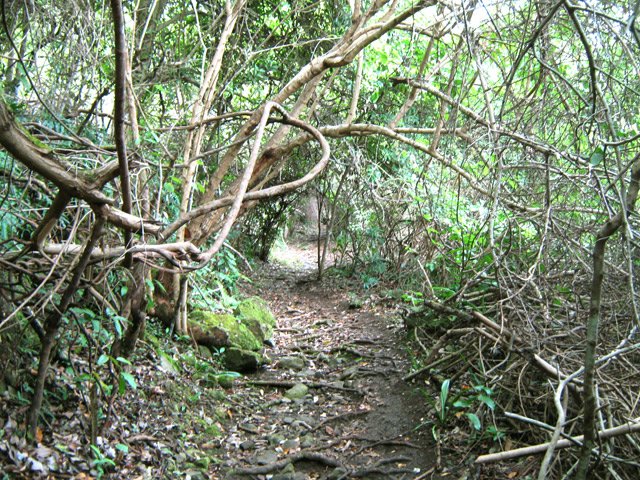 Chemin parfois peu engageant mais sur de courtes distances