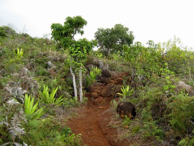 Le sentier est usé par les sportifs de la Possession