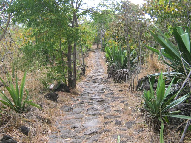 Quelques pierres se déchaussent peu à peu de la piste pavée