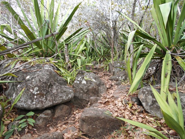 Les pierres, parfois énormes, obligent à lever haut la jambe