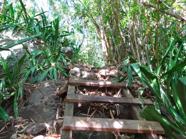 Deux échelles rudimentaires mais très utiles pour franchir des rochers en remontant