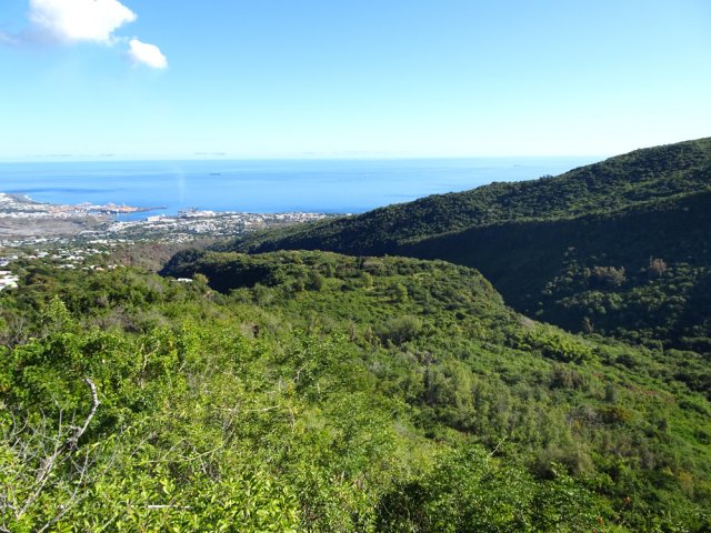 Les champs de canne à sucre de La Mare ont disparu