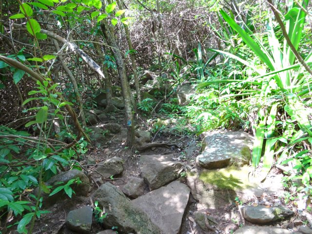 Remontée caillouteuse vers le Chemin Ratinaud