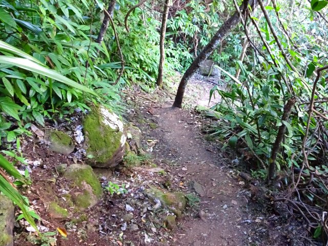 Le sentier descend moins à l'approche de la ravine