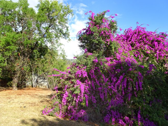 Très agréable remontée dans le Lotissement de la Grande Montagne