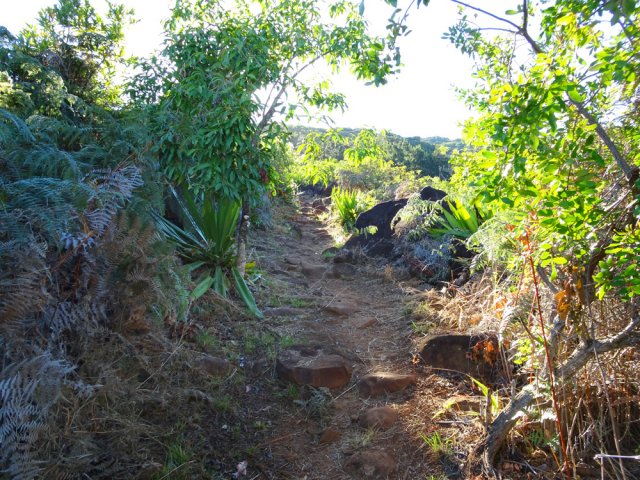 Une partie assez dégagée du parcours